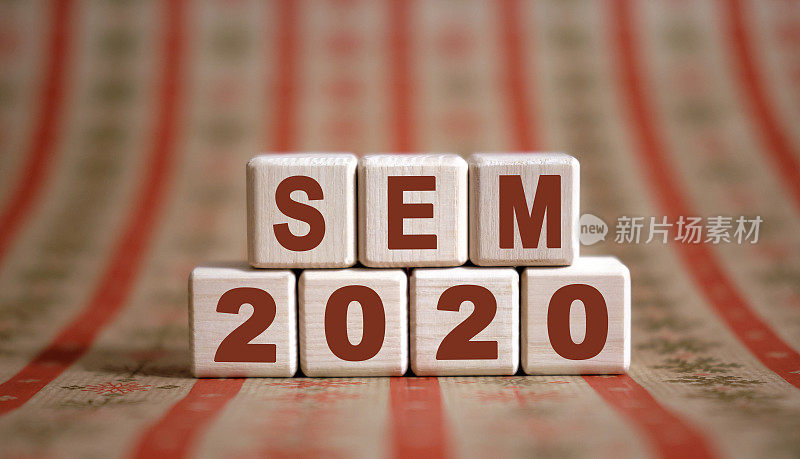 SEM 2020文本在木立方体上的单色背景反射。